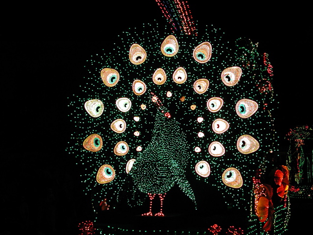 Peacock made of lights